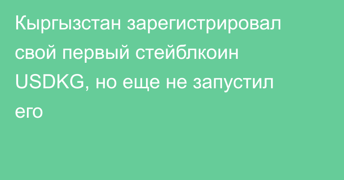 Кыргызстан зарегистрировал свой первый стейблкоин USDKG, но еще не запустил его