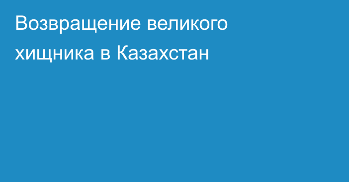 Возвращение великого хищника в Казахстан