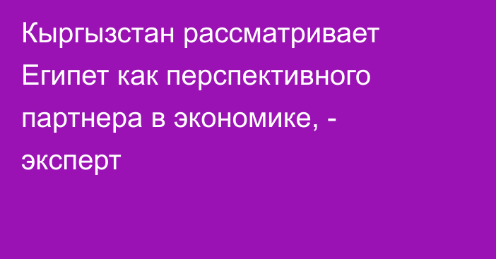 Кыргызстан рассматривает Египет как перспективного партнера в экономике, - эксперт