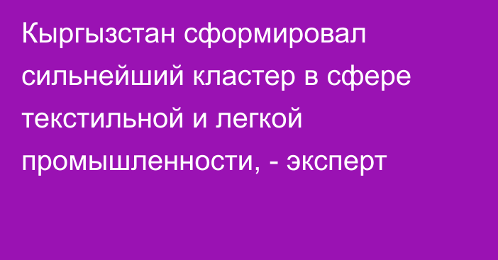 Кыргызстан сформировал сильнейший кластер в сфере текстильной и легкой промышленности, - эксперт