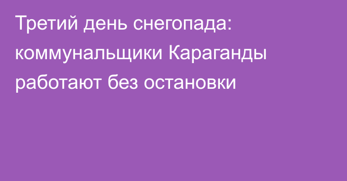 Третий день снегопада: коммунальщики Караганды работают без остановки