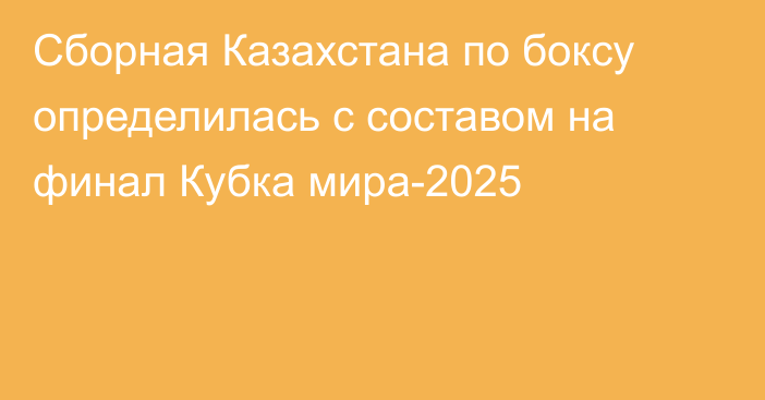 Сборная Казахстана по боксу определилась с составом на финал Кубка мира-2025
