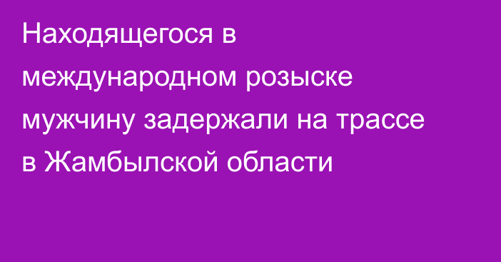 Находящегося в международном розыске мужчину задержали на трассе в Жамбылской области