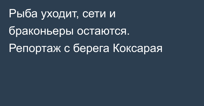 Рыба уходит, сети и браконьеры остаются. Репортаж с берега Коксарая