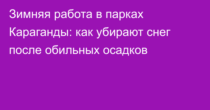 Зимняя работа в парках Караганды: как убирают снег после обильных осадков