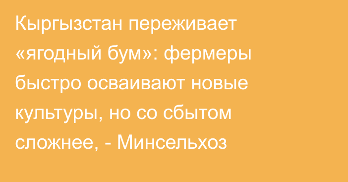 Кыргызстан переживает «ягодный бум»: фермеры быстро осваивают новые культуры, но со сбытом сложнее, - Минсельхоз