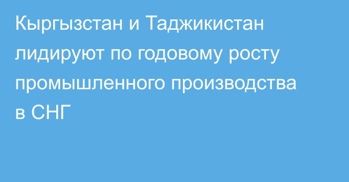 Кыргызстан и Таджикистан лидируют по годовому росту промышленного производства в СНГ