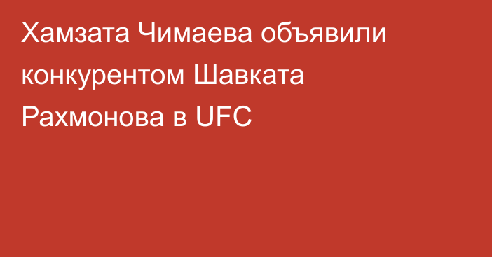 Хамзата Чимаева объявили конкурентом Шавката Рахмонова в UFC