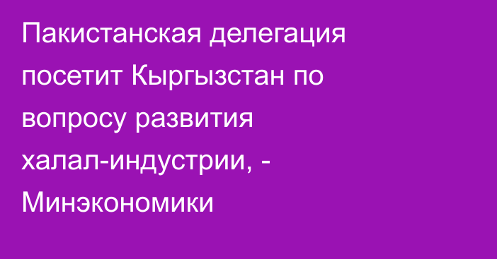 Пакистанская делегация посетит Кыргызстан по вопросу развития халал-индустрии, - Минэкономики