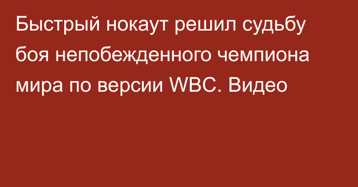 Быстрый нокаут решил судьбу боя непобежденного чемпиона мира по версии WBC. Видео