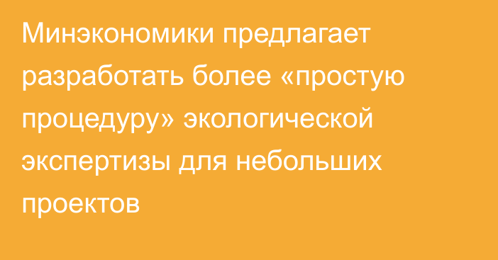 Минэкономики предлагает разработать более «простую процедуру» экологической экспертизы для небольших проектов