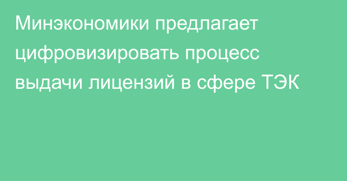 Минэкономики предлагает цифровизировать процесс выдачи лицензий в сфере ТЭК