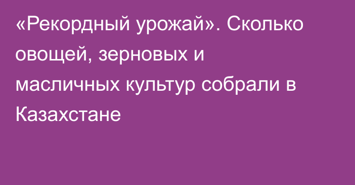 «Рекордный урожай». Сколько овощей, зерновых и масличных культур собрали в Казахстане