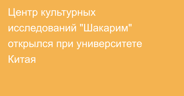 Центр культурных исследований 