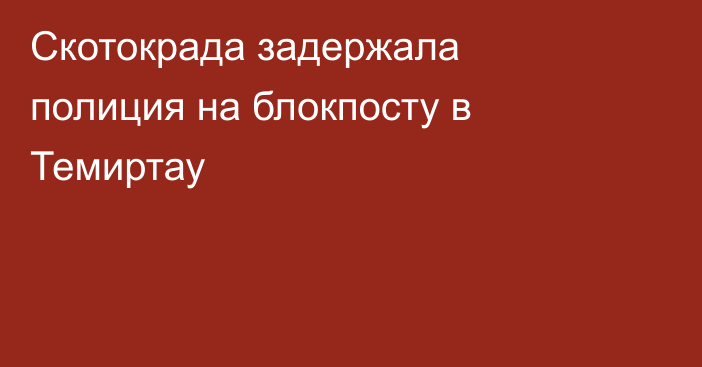 Скотокрада задержала полиция на блокпосту в Темиртау