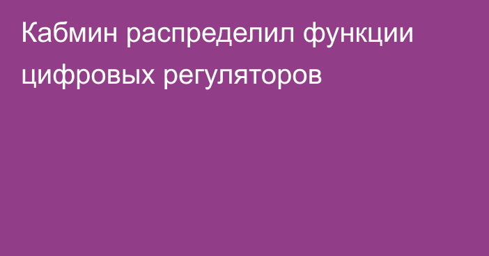 Кабмин распределил функции цифровых регуляторов