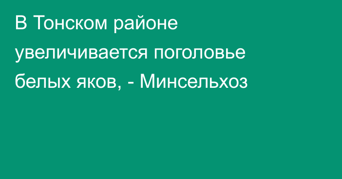 В Тонском районе увеличивается поголовье белых яков, - Минсельхоз