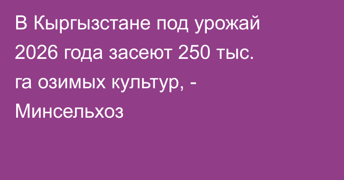 В Кыргызстане под урожай 2026 года засеют 250 тыс. га озимых культур, - Минсельхоз