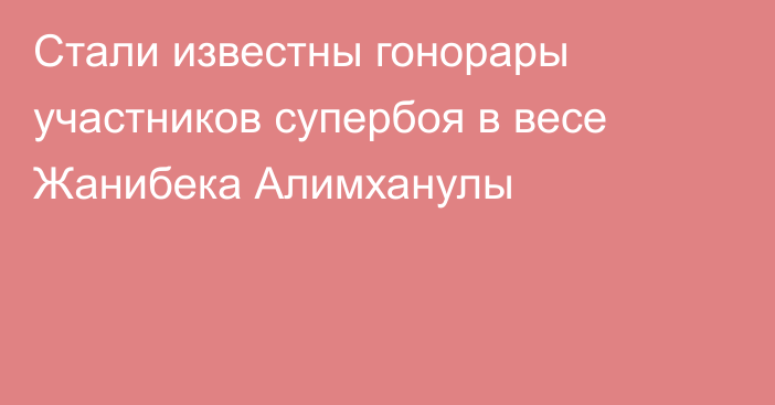 Стали известны гонорары участников супербоя в весе Жанибека Алимханулы