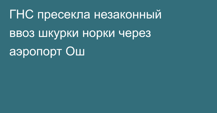 ГНС пресекла незаконный ввоз шкурки норки через аэропорт Ош