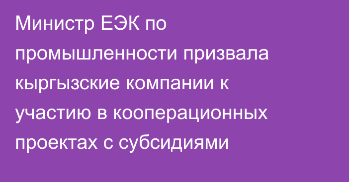 Министр ЕЭК по промышленности призвала кыргызские компании к участию в кооперационных проектах с субсидиями