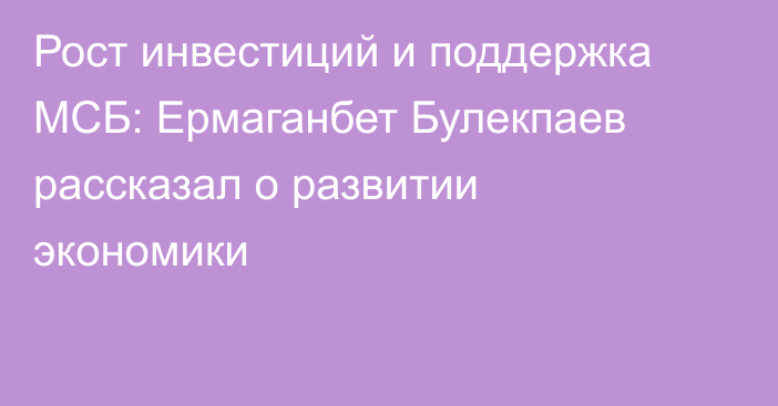 Рост инвестиций и поддержка МСБ: Ермаганбет Булекпаев рассказал о развитии экономики