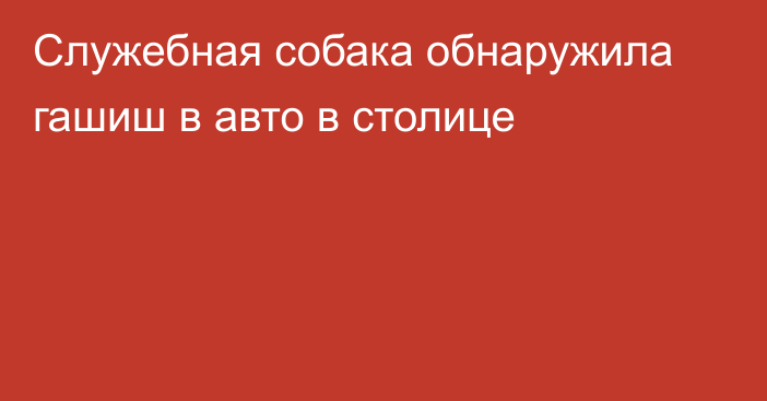 Служебная собака обнаружила гашиш в авто в столице