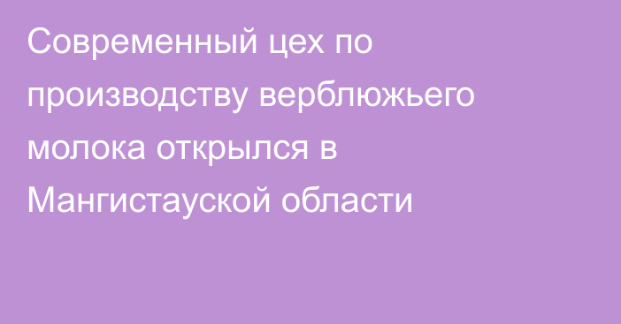 Современный цех по производству верблюжьего молока открылся в Мангистауской области