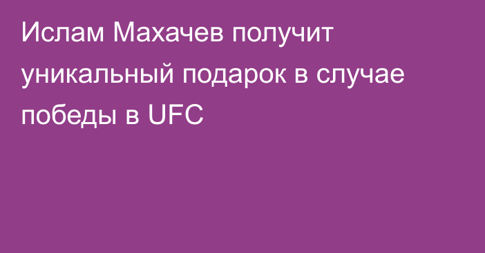 Ислам Махачев получит уникальный подарок в случае победы в UFC