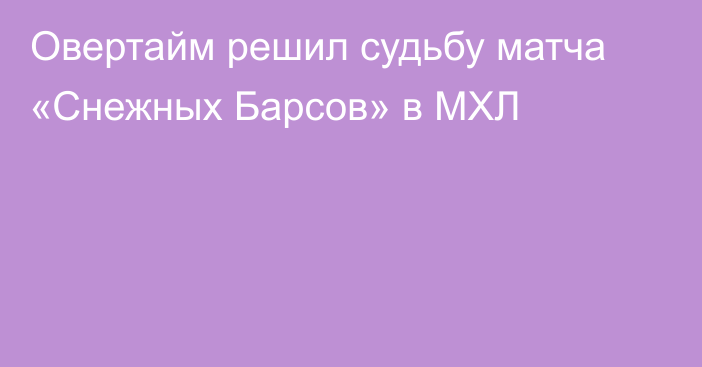 Овертайм решил судьбу матча «Снежных Барсов» в МХЛ