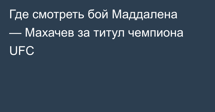 Где смотреть бой Маддалена — Махачев за титул чемпиона UFC