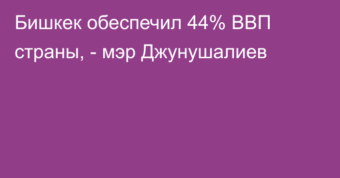 Бишкек обеспечил 44% ВВП страны, - мэр Джунушалиев