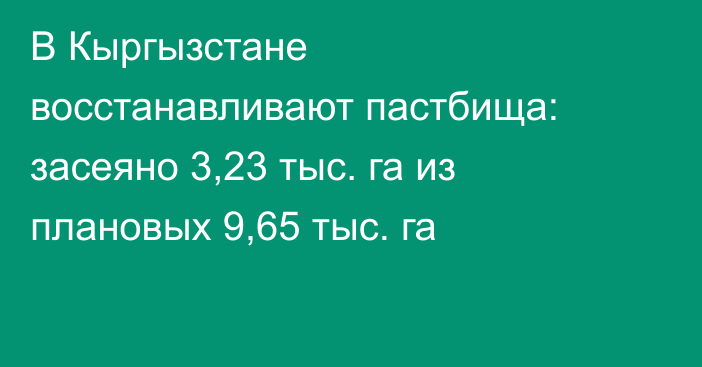 В Кыргызстане восстанавливают пастбища: засеяно 3,23 тыс. га из плановых 9,65 тыс. га