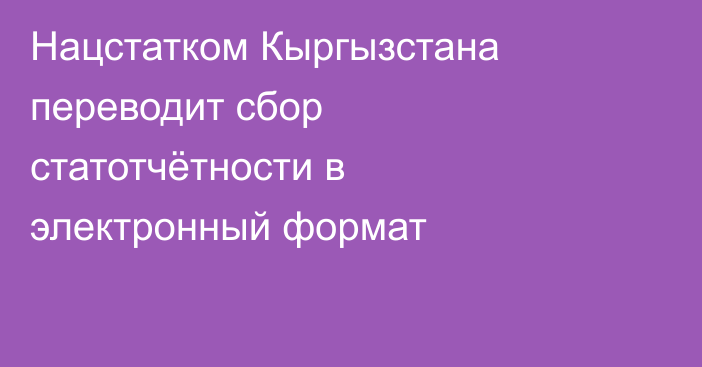 Нацстатком Кыргызстана переводит сбор статотчётности в электронный формат