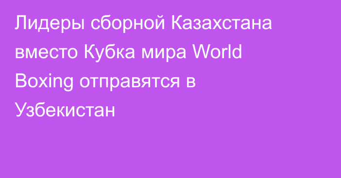 Лидеры сборной Казахстана вместо Кубка мира World Boxing отправятся в Узбекистан