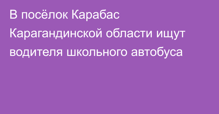 В посёлок Карабас Карагандинской области ищут водителя школьного автобуса