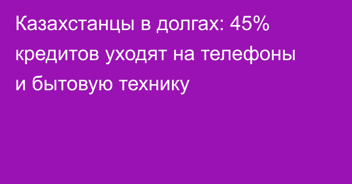 Казахстанцы в долгах: 45% кредитов уходят на телефоны и бытовую технику