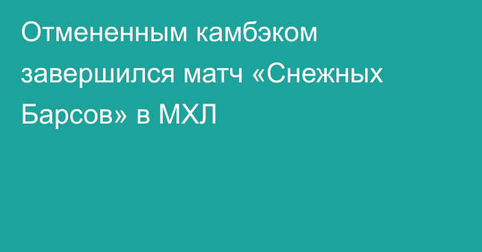 Отмененным камбэком завершился матч «Снежных Барсов» в МХЛ