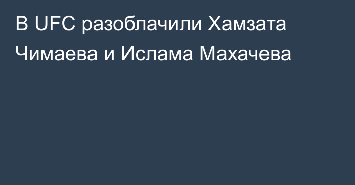 В UFC разоблачили Хамзата Чимаева и Ислама Махачева