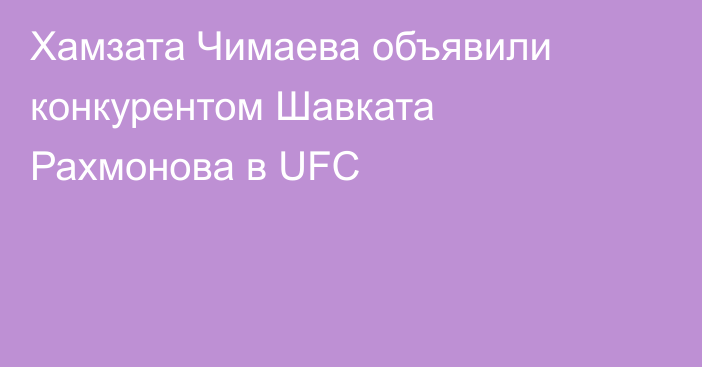 Хамзата Чимаева объявили конкурентом Шавката Рахмонова в UFC