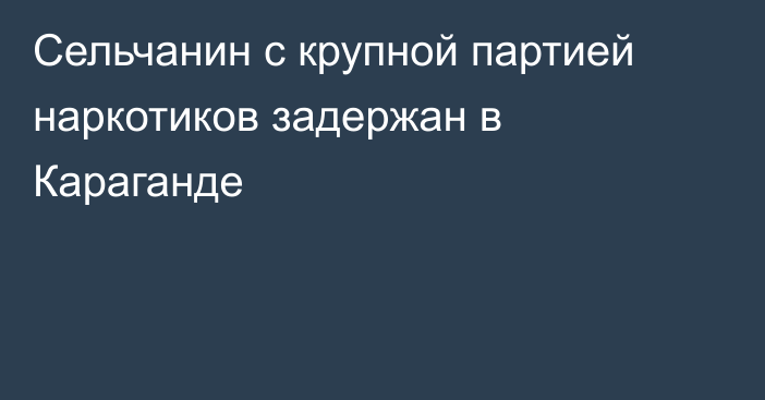 Сельчанин с крупной партией наркотиков задержан в Караганде