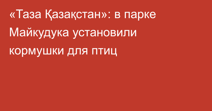 «Таза Қазақстан»: в парке Майкудука установили кормушки для птиц