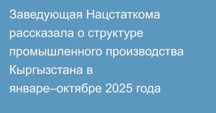 Заведующая Нацстаткома рассказала о структуре промышленного производства Кыргызстана в январе–октябре 2025 года