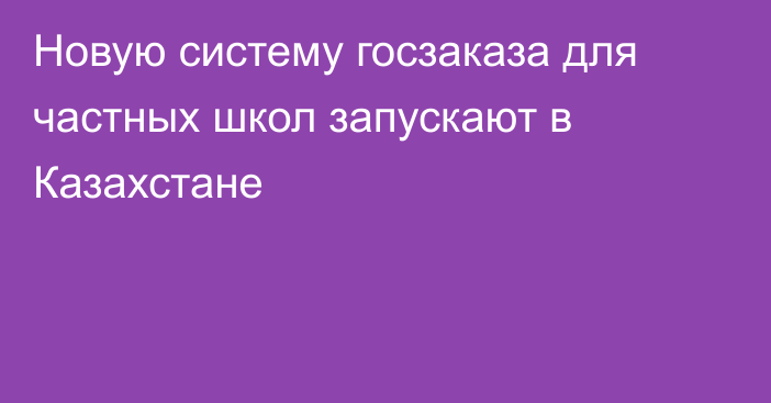 Новую систему госзаказа для частных школ запускают в Казахстане
