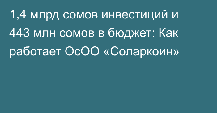 1,4 млрд сомов инвестиций и 443 млн сомов в бюджет: Как работает ОсОО «Соларкоин»