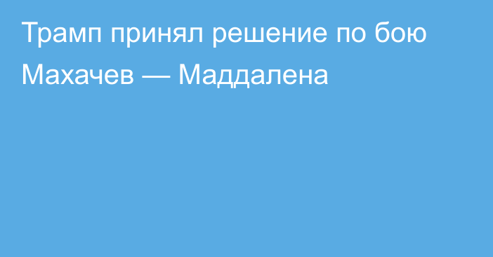 Трамп принял решение по бою Махачев — Маддалена