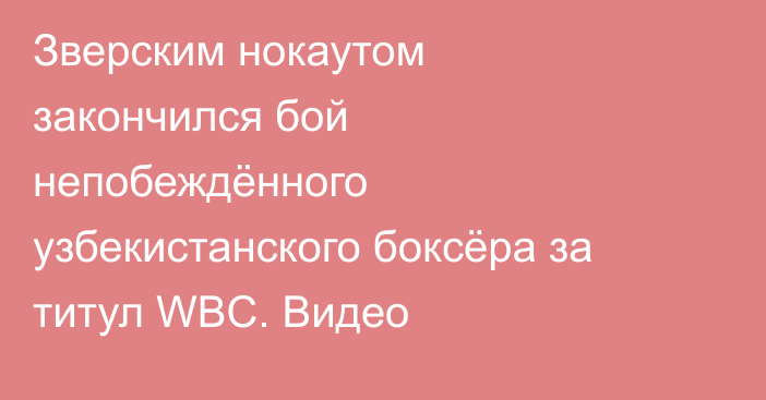 Зверским нокаутом закончился бой непобеждённого узбекистанского боксёра за титул WBC. Видео