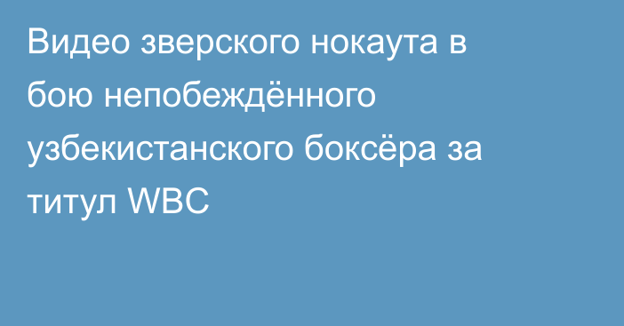 Видео зверского нокаута в бою непобеждённого узбекистанского боксёра за титул WBC