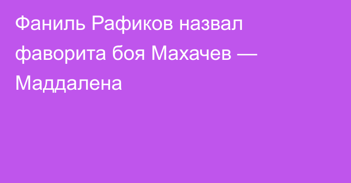 Фаниль Рафиков назвал фаворита боя Махачев — Маддалена