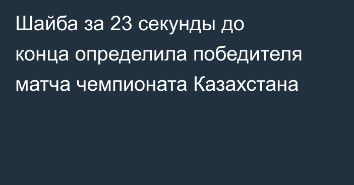 Шайба за 23 секунды до конца определила победителя матча чемпионата Казахстана